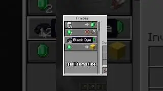Is this the worst villager in Minecraft 🐑 #shorts