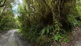 Ruta épica en MTB: Alto de La Línea a Salento (descenso completo)