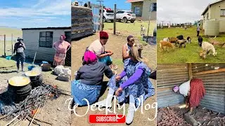 Eastern cape vlog: ukusila utywala besiXhosa, preps for umgidi continues… #southafricanyoutuber
