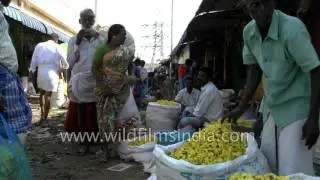 Flower market of Madurai, Tamil Nadu
