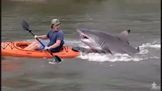 local man from Oroville (Fung Guy) was attacked by a Shark Attack while filming his latest video