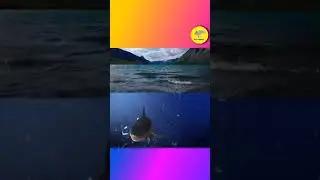 baby Shark dance video vfx#shorts