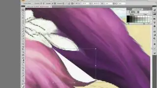 illustrator tutorial