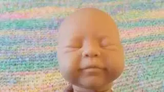 Reborn Kit Review Lillesol & Anastasia