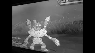 SHINY BARBARACLE APPEARED IN ULTRA SPACE AFTER TRAVELING 3969 LIGHT YEARS!!