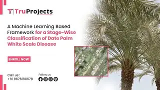 A Machine Learning Based Framework for a Stage Wise Classification of Date Palm White Scale Disease