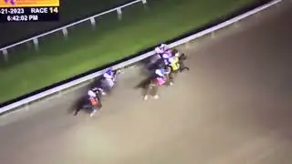 Lecomte Stakes 2023 $200k Instant ￼coffee !!!