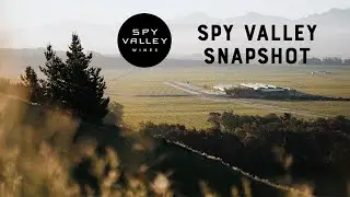 Spy Valley Wines Snapshot