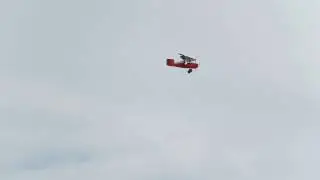 Stevens AeroModel - 1930 Granger Archaeopteryx
