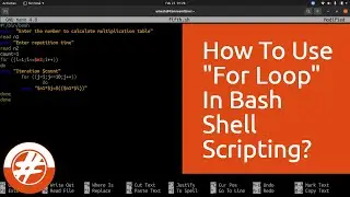 029 - Shell Scripting #04 | How To Use 