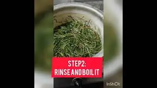 paper out of grass