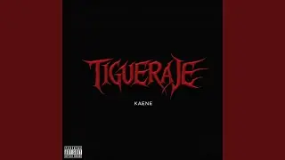Tigueraje