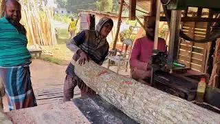 Saw Mill Work | Sawing | sharpening and setting up the machine to cut wood #wood #working #sawmill