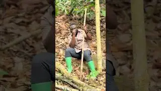 Dr. Frank AmoakoHene was emotionally down in the forest where the helicopter crashed 😭💔🇬🇭