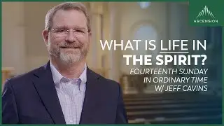 Are You Living in the Spirit? — Jeff Cavins' Reflection for the 14th Sunday in Ordinary Time