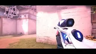 wpy