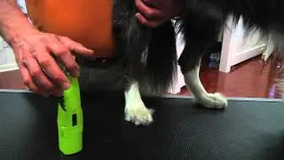 FURMINATOR NAIL TRIMMING DEMO FOR DOGS
