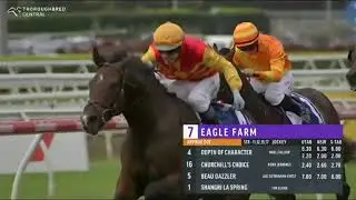 Depth Of Character - Queensland Guineas 1600m Group 2 2025 - Ridden by Noel Callow