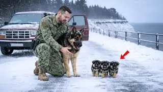 A Navy SEAL Finds 3 Freezing Puppies at  10&deg;C &mdash; and Discovers a Shocking Secret