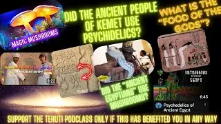 TEHUTI~MAGIC MUSHROOMS DID THE 