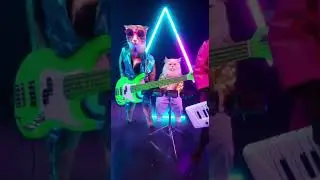 Cats Jam to 80s Synth Beats 🎶😺