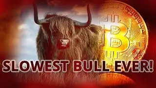 A Slow Clumsy Start to a Bullish Run for Bitcoin