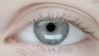 3 Ways We Could Restore Sight To The Blind