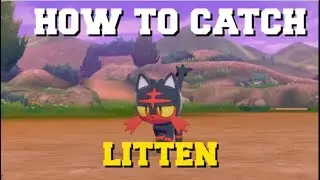 HOW TO CATCH LITTEN IN POKEMON SWORD AND SHIELD (HOW TO GET LITTEN) (WHERE TO FIND LITTEN)