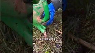 Why Fertilizer Is Injected into Soil Instead of Spraying | Modern Farming Technique