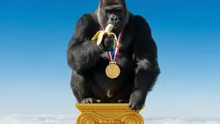 Rahoo - Up Here On A Podium