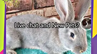 big things are coming to JP'S PET NATION .
