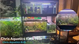 Chris Aquatics Full Detailed Aquarium Rack Tour