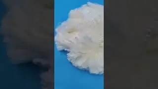 Modacrylic Fiber