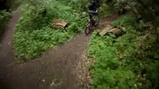 Roskiller tour 3 - Mere Boserup skov