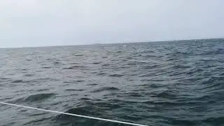 First sail with my new Dehler 34.