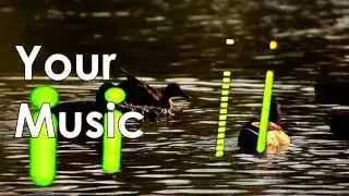 UrbanDenoiser Player
