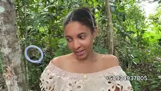 Nan jungle lan Armelle moutre Macus Talan li