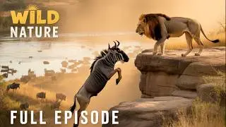 Savage Moments In The Animal Kingdom