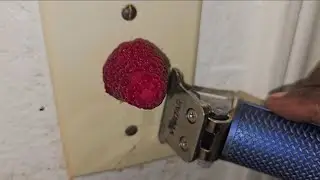 I always check the light switches in the master bathrooms at Air BnB's using raspberries😳