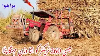 Heavy Load Sugarcane Massey Ferguson 260 tractor itna Vajan Mahanga Pada Performance video 2026