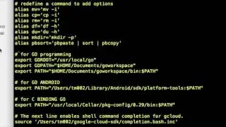 Setting Environment Variables - Golang