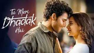 Tu Meri Dhadak Hai (Audio) | Romantic Hindi song 2025 | Arijit Singh