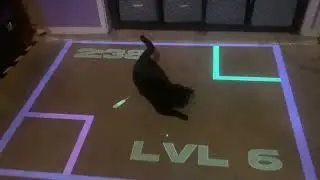 GAS GAS GAS (virtual cat toy)