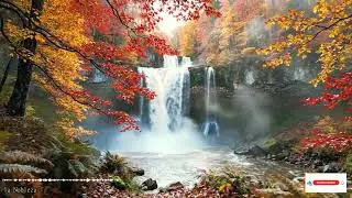 Celestial Harmony For Deep Relaxation And Sleep Under The Starry Night Sky Ambient Music