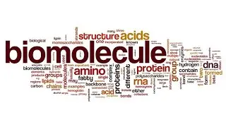 Biomolecule and it's types ✨