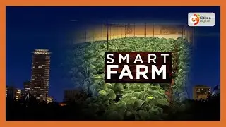 Smart Farm | NYS embarks on expanding farming activities