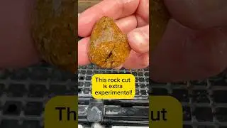 What&rsquo;s inside? Let&rsquo;s cut open some unassuming tuff rock! #rockhounding