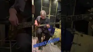 Raridade! @FramusWarwickOfficial  Dolphin! Amazing #bass #basso #bajo #basse