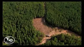 175+/- acres - Chester County, TN - Sand Mountain
