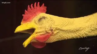 Archie McPhee's new Rubber Chicken Museum will make you say 